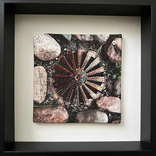 Nr 100 - Mästers galleri, Svaneholm